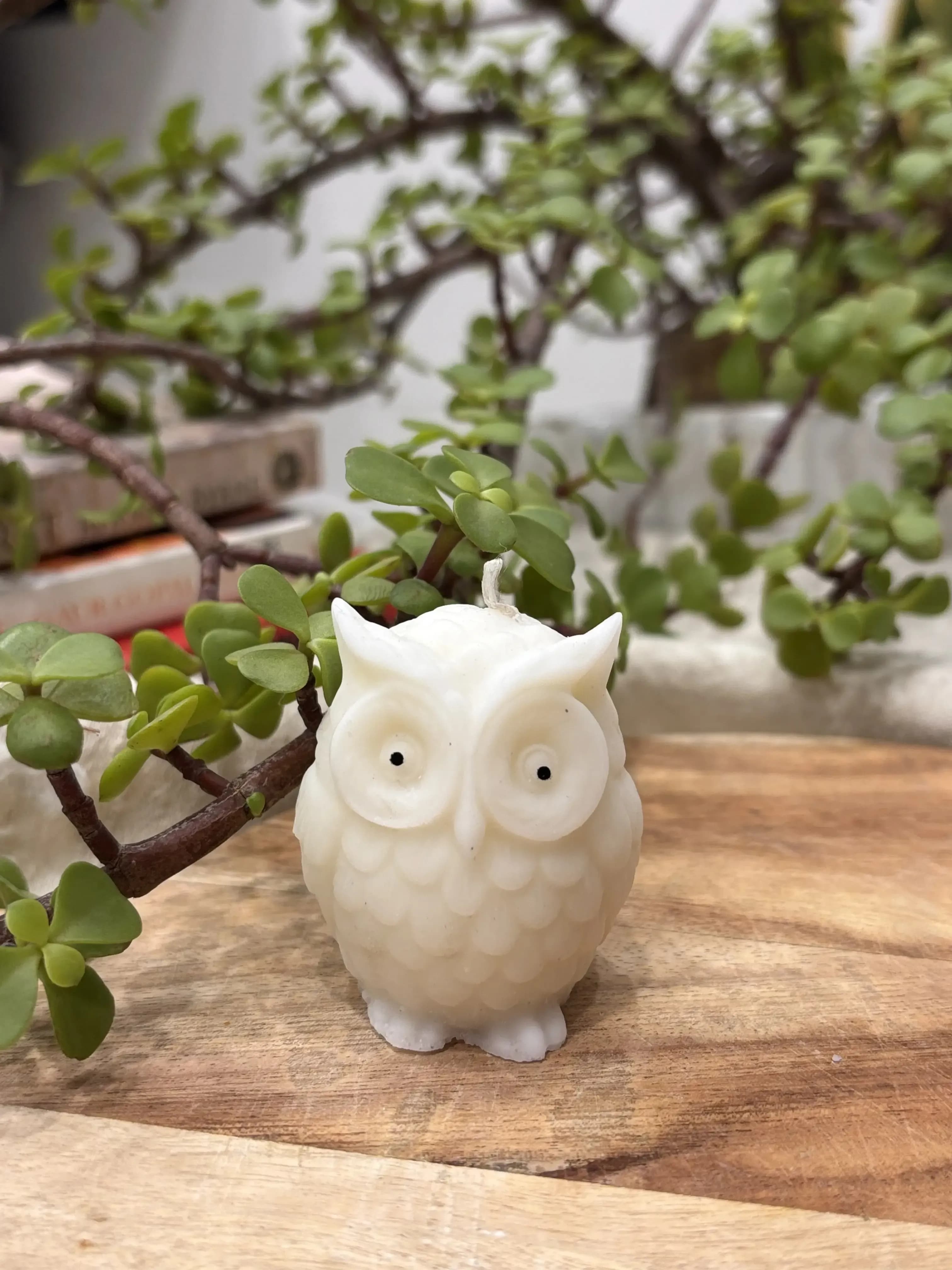 Owl Candle (Set of 2) alternate view